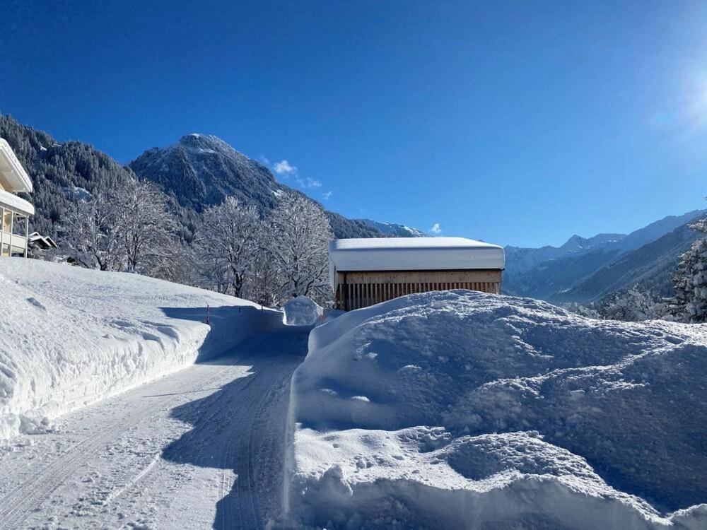 Ferienwohnung Haus Albuin Sankt Gallenkirch Exterior foto